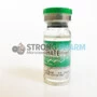 Enanthate SP LABS реплика 250 мг/мл 10 мл